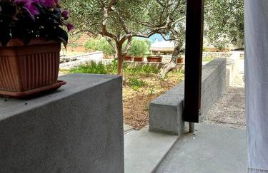 Apartmani Sladić - Photo 76