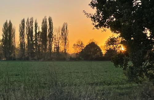 Attraktive 3 Zimmer Wohnung in Toplage,Nähe Messe - Foto 24