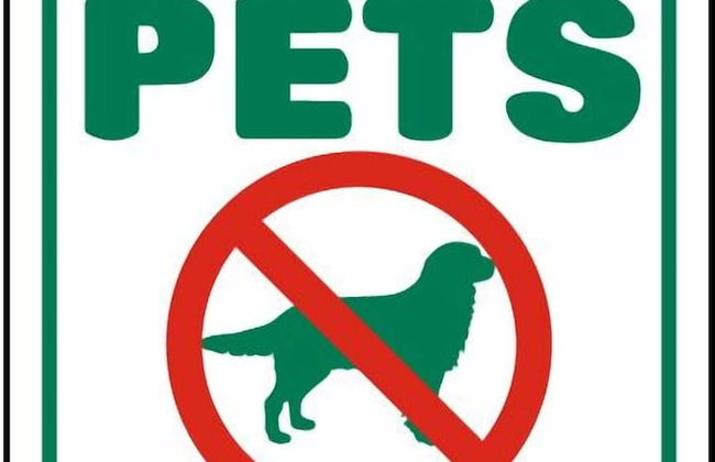 The Lookout at Tahoe Woods - Foto 31