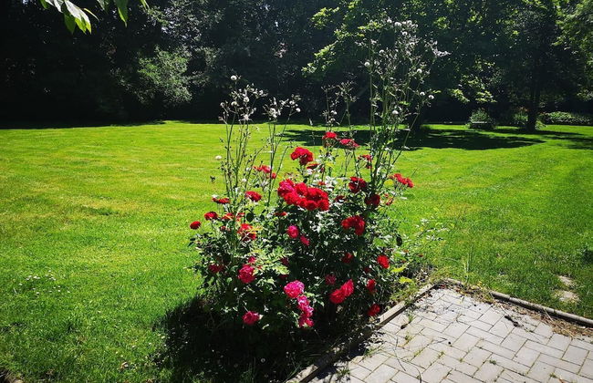 Landhaus Kaisershof - Foto 24