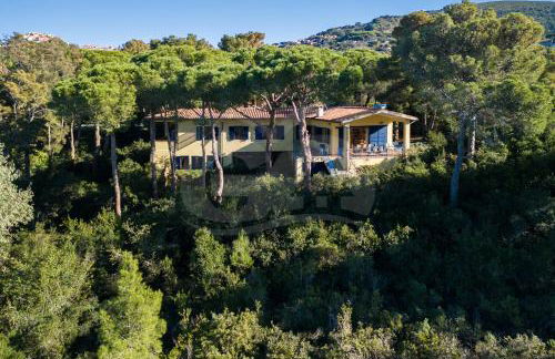 Villa Madonna delle Grazie con accesso privato al mare - Goelba - Foto 1