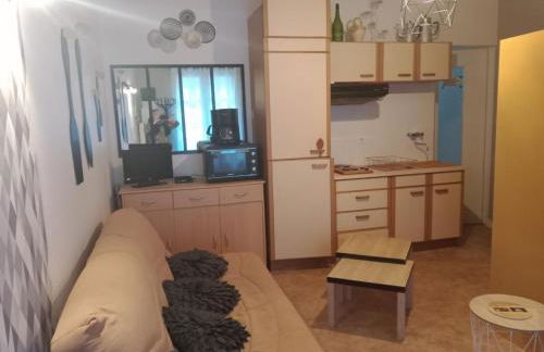 CAUTERETS Appartement F 2 vue sur montagne - Foto 7