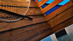 Les cigognes gites de la reserve - Foto 2