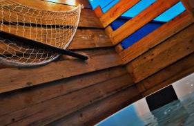 Les cigognes gites de la reserve - Foto 2