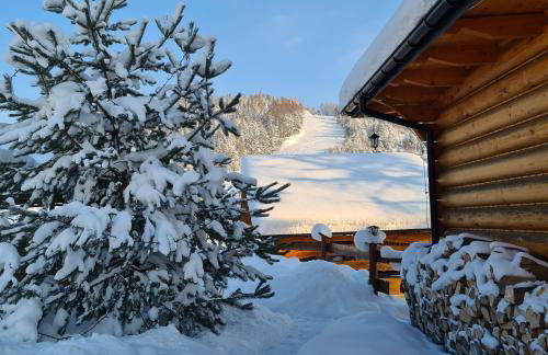 Domek Góralski nad Czorsztynem - Kluszkowce - Foto 32