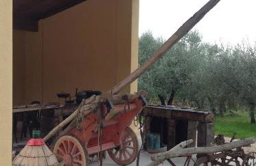 Agriturismo Il Truffarello TODI - Photo 44