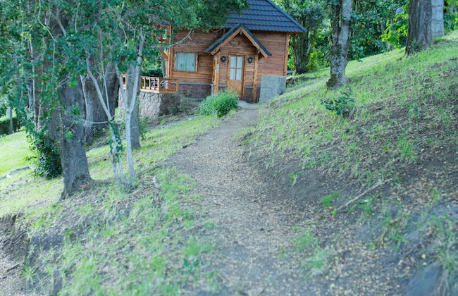 Cocos Cura Casas de Montaña - Photo 59