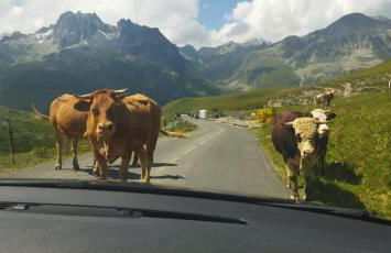 Saint-Sorlin D'Arves pied des pistes 310km de pistes tous niveaux - Photo 28