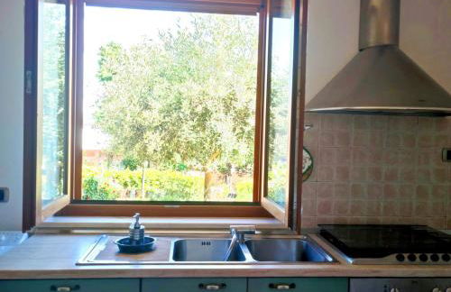 Un passo alla volta - Foto 2