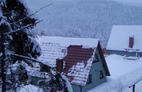 Domki Beskid - Foto 77