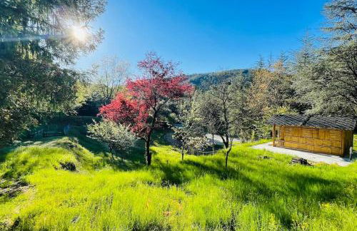 Gîte des 3 vallées - Le soleil des Cévennes - Foto 23
