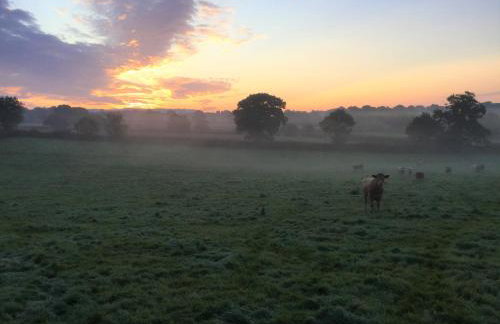 Deer Den timber clad cabin with hot tub, up private lane - Photo 32