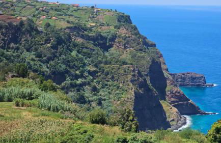 Top Floor in Flor do Campo - Santana - Foto 17