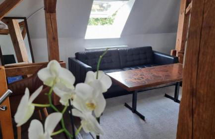 Exclusives Loft, Klimaanlage, Parkplatz, Netflix & Disney, DominosPizza, Wallbox - Foto 21