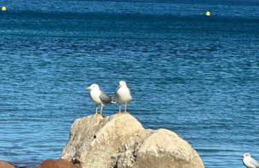 Vue mer et sur la baie de Cannes piscine 450m2 randonnée VTT au pied de l Esterel - Foto 25