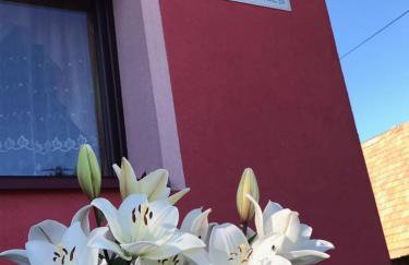 Malinowy Domek - Photo 68