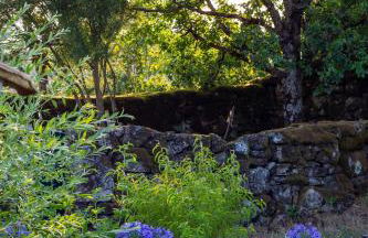 Horizontes Serranos - Foto 39