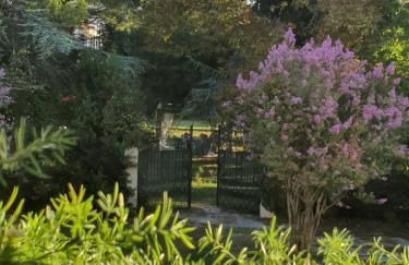 La DOGARESSA - Foto 11