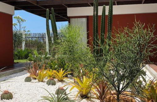 Casa Terra - Foto 40