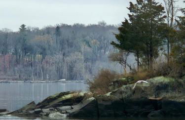 New- Farm view-Winter escape with cozy fireplace - Foto 58