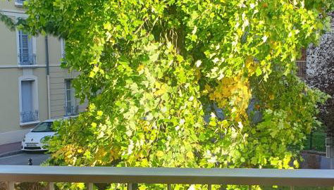 La Clé de Jules - Foto 2, Garden view