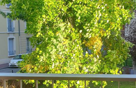 La Clé de Jules - Foto 2