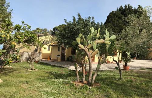 Bouganville in Villa Greco - Foto 37