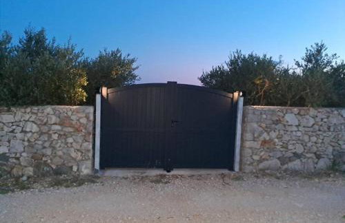 Villa Maslina - Photo 9