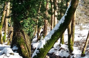 Chalet Coquelicot (Co-cli-co) relax in nature - Photo 46