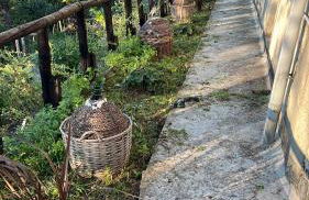 Villa Allegra Apartments in The Nature - Foto 23