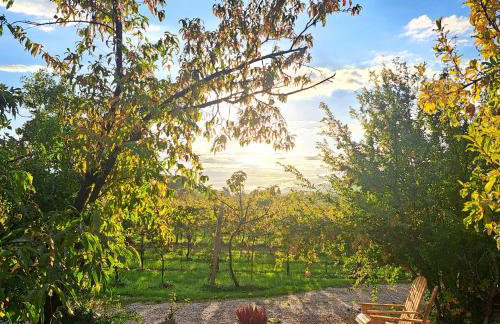 Casadesergio - Photo 30