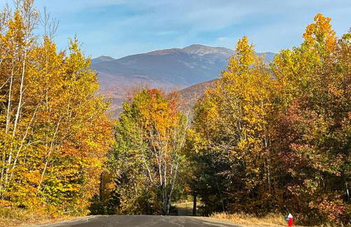 Mountain View Home - Photo 24