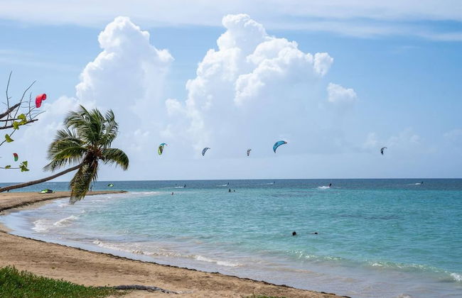 Villa Joyosa- Las Terrenas Beachfront Villa - Foto 45