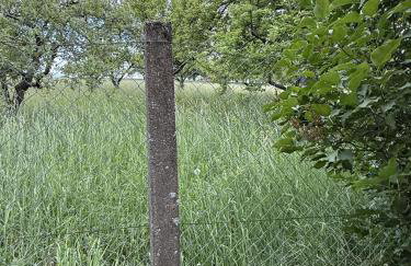 Villa von EmMa - Foto 18