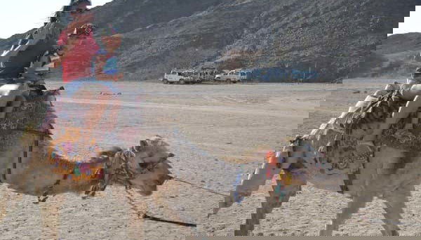 Exploring the desert on a camel