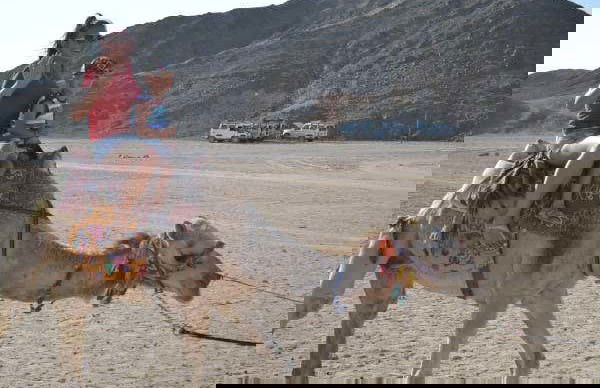 Desert Quad Tour + Camel Ride - Photo 4