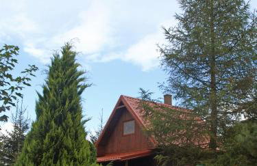 Domki letniskowe i całoroczne w Kopalinie - Foto 65