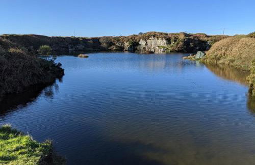 Honeysuckle Cabin - Photo 37