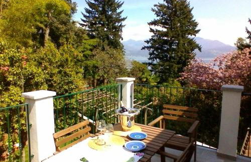 La Camelia d'Oro - Foto 10