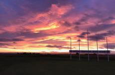 23 C Allan Gardens - Foto 22