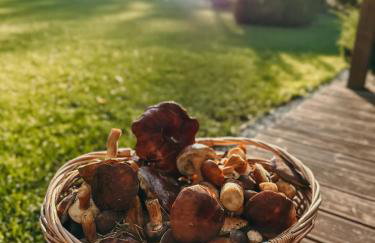 Agroturystyka Wena - luksus w naturze - Foto 20