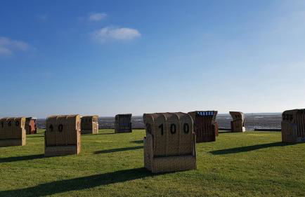 Wremer Seemöwe - Foto 17