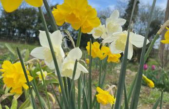 Lieu paisible et indépendant - Foto 23