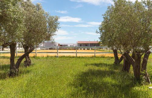 Vila Natura - Foto 102