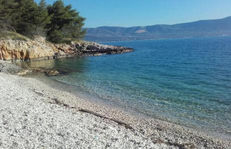 Apartments Ljilja sea view - Photo 18