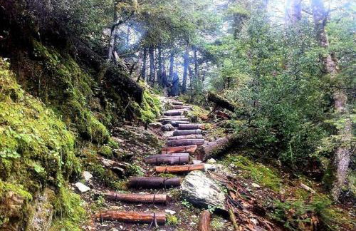 Elati Hills - Photo 58