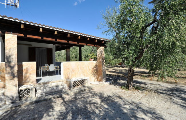 Case Vacanze L'Uliveto - Foto 36