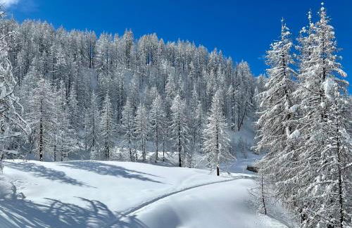 FLORA ALPINA EXPERIENCE - "Ski-to-Door" Brand New Chalet Apartments with Indoor Garage and Mountain View - Foto 9