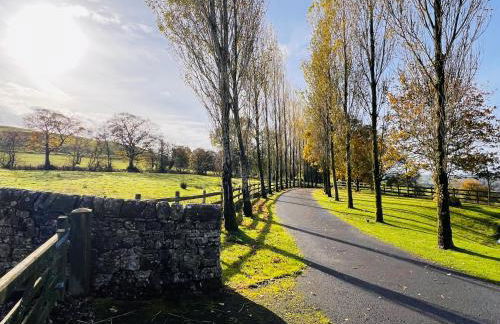 Peace & Tranquillity - Breathe Nature & Star Gaze - Photo 60