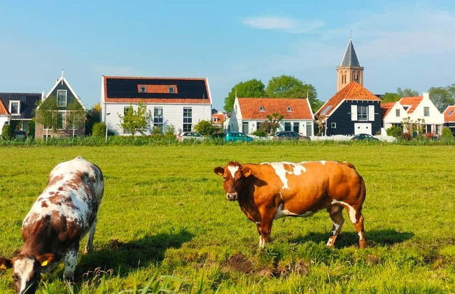 Tour en bicicleta por la campiña holandesa - Foto 1